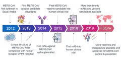 澳门威尼斯人网站目前尚无针对MERS-CoV的预防性疫苗和特效的治疗手段