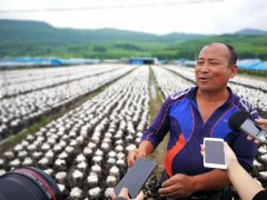 澳门威尼斯人官网广泛宣传推介汪清