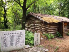 澳门威尼斯人网址首先映入眼帘的是高为14米