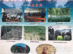 澳门威尼斯人官网培树党员创业示范基地2处